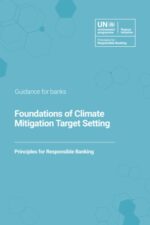 Foundations of Climate Mitigation Target Setting